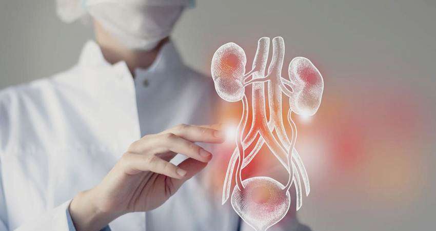 Gagal Ginjal Akut, Gorontalo Tak Ada RS Rujukan