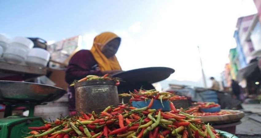 Tim Pengendali Inflasi Daerah BI Sultra menggalakkan gerakan tanam cabai di pekarangan rumah