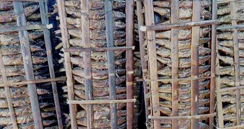 Sagela Murah, Permintaan Meningkat