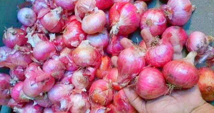 Stok Melimpah, Bawang Merah Masih Rp40 Ribu per Kg, Pedagang Mengaku Sehari Laku Puluhan Kg