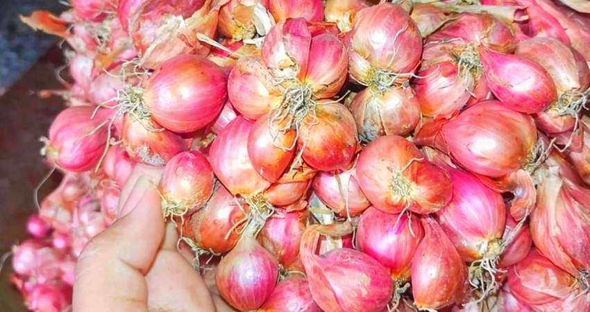 Naik Lagi, Bawang Merah Rp40 Ribu per Kg, Pedagang Klaim Stok Melimpah