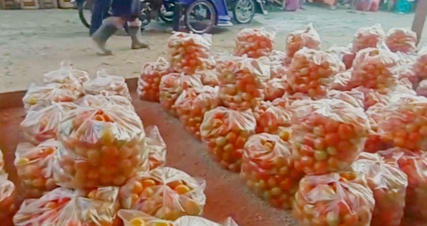 Harga Tomat Masih Tinggi, Per Kg Mulai Rp9 Ribu