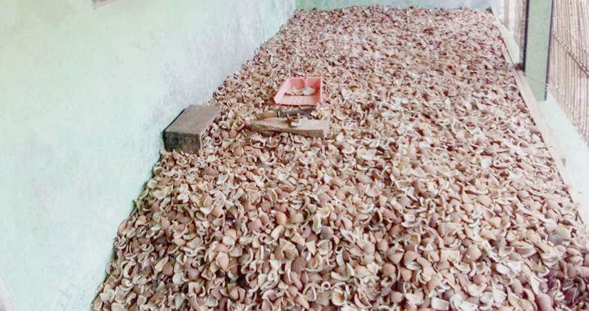 Harga Kopra Rp7.600 per Kg, Naik dari Harga Rp6 Ribu