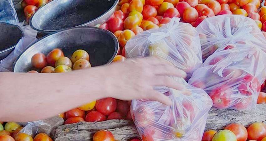 Harga Tomat Makin Mahal, Per Kg Mulai Rp9 Ribu