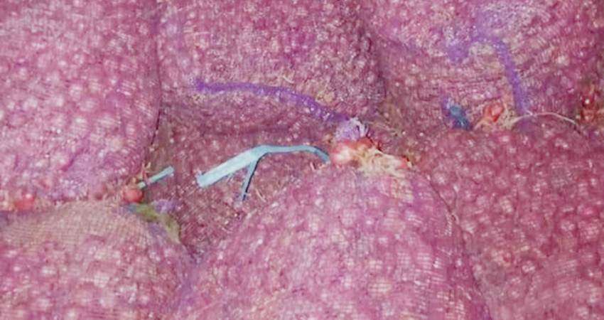 Bawang Merah Rp20 Ribu per Kg, Stok Melimpah, Harga Turun Drastis