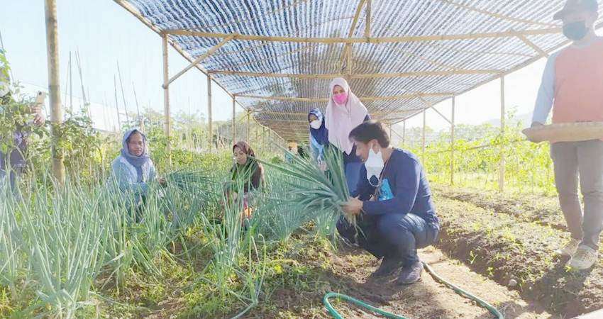 Hamim Dorong Warga Hijaukan Pekarangan, Program Unggulan Bonebol untuk Ketahanan Pangan