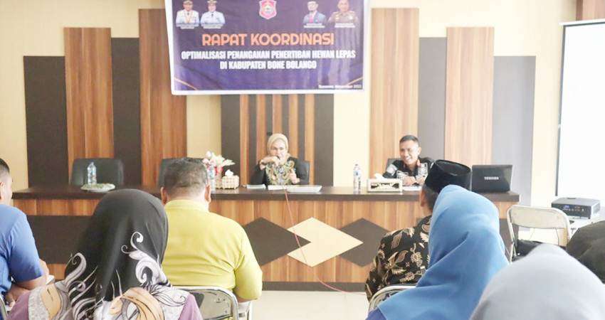 Penertiban Hewan Lepas Dioptimalkan, Wabup Terusik Banyak Hewan Berkeliaran di Tempat Umum