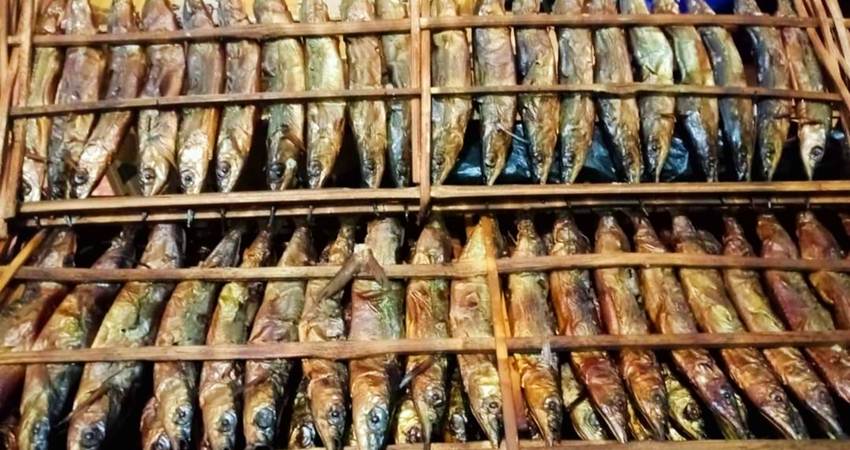 Sagela Dibanderol Mulai Rp185 Ribu per Kg, Banyak Permintaan dari Rumah Makan