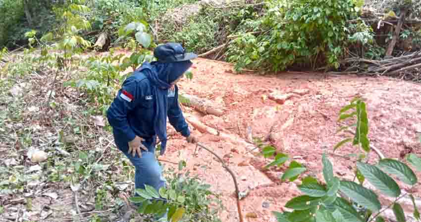 Gunung Mereki Alami Tekanan Gejala Tektonik Ringan