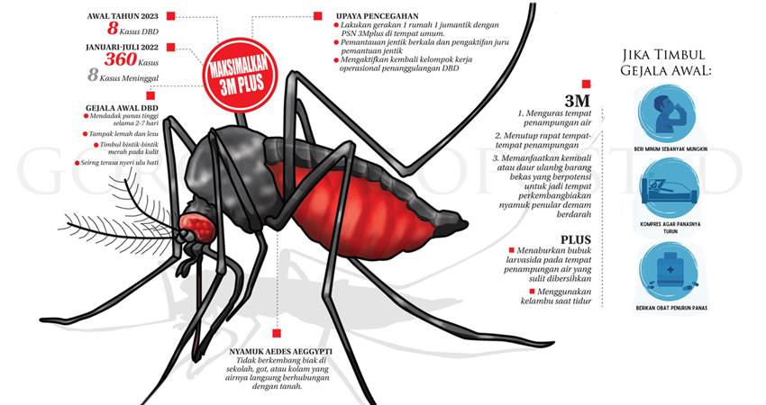 DBD Mengancam, Fogging Bukan Solusi Utama