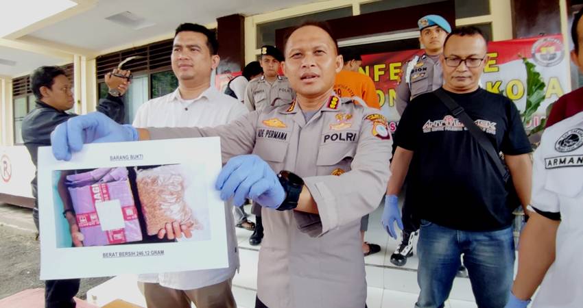 Polresta Sita 246,12 Gram Ganja