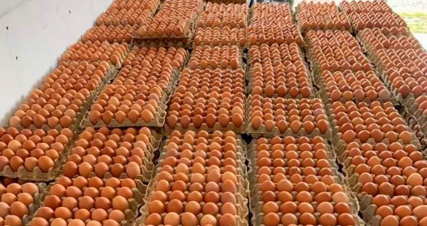 Harga Telur Anjlok, Per Bak Dijual Mulai Rp35 Ribu