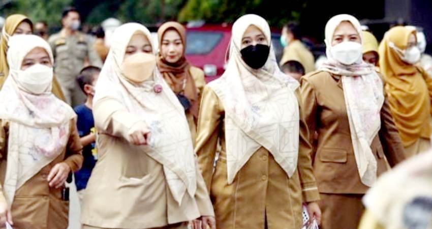 Beredar Info Adanya PPPK Model Baru