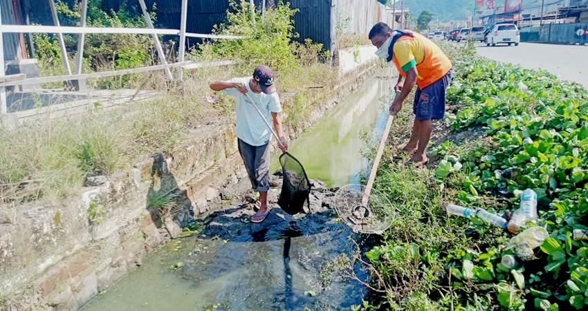 Drainase Eks Panjaitan Dipenuhi Rumput Liar