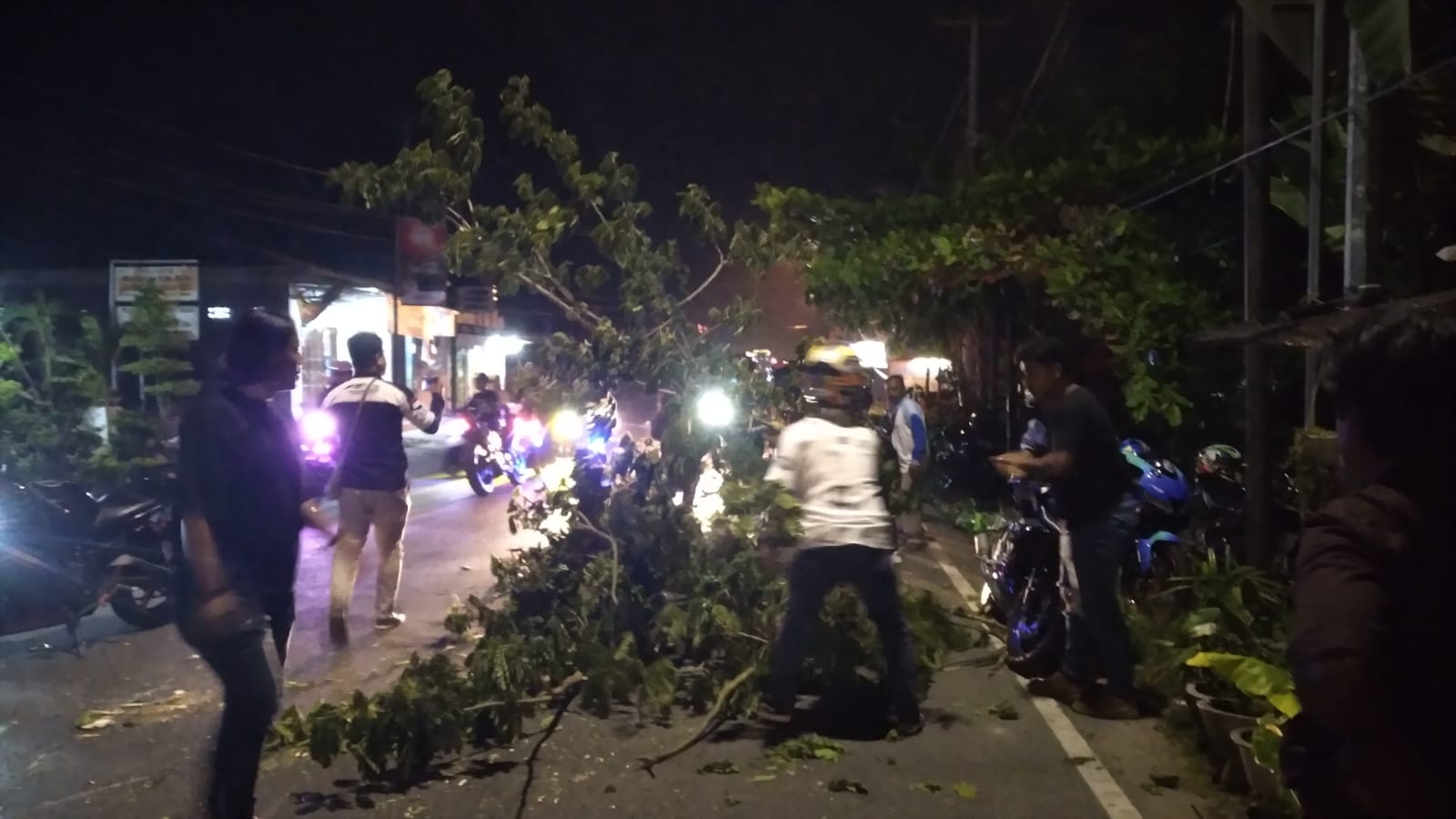 Pohon Tumbang Capt : Peristiwa pohon tumbang yang terjadi di Jalan Ahmad A. Wahab, Kelurahan Pentadio Barat, Kecamatan Limboto, mengakibatkan kemacetan serta padamnya listrik disejumlah rumah warga.
