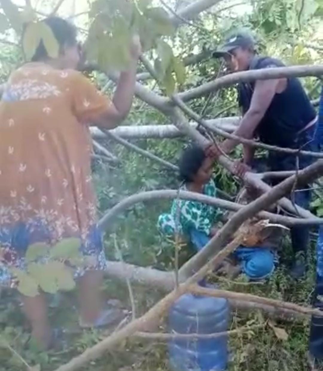 Keluarga korban histeris saat melihat PK alias Pali mulai tak sadarkan diri usai tertimpa pohon, Kamis (13/4/2023)