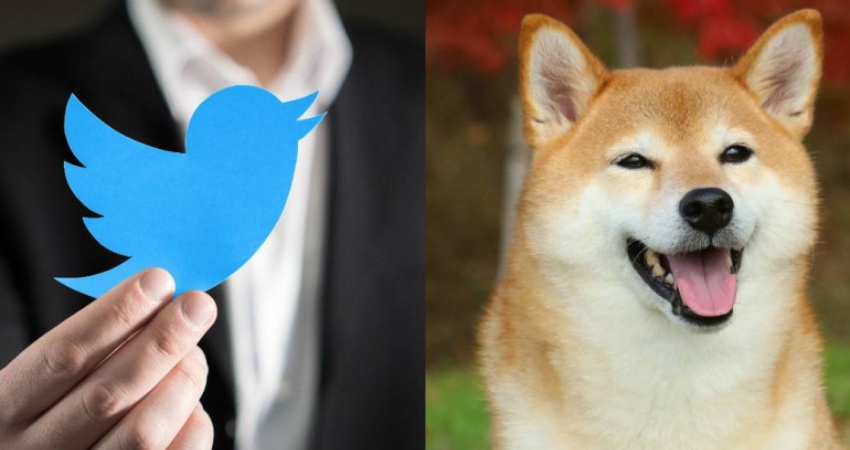Lawak! Elon Musk Ubah Logo Twitter Jadi Anjing Shiba Inu