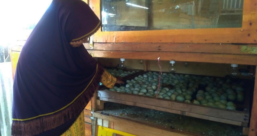 Salah satu lapak A3 berkah yang ada di Jl. Pangeran Hidayat II. (Foto Elvira)