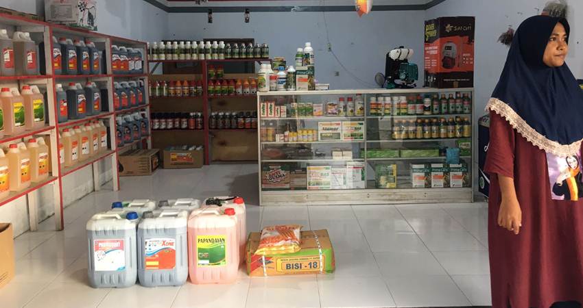 Harga Racun Rumput Naik, petani Mengeluh. (16/05/23)