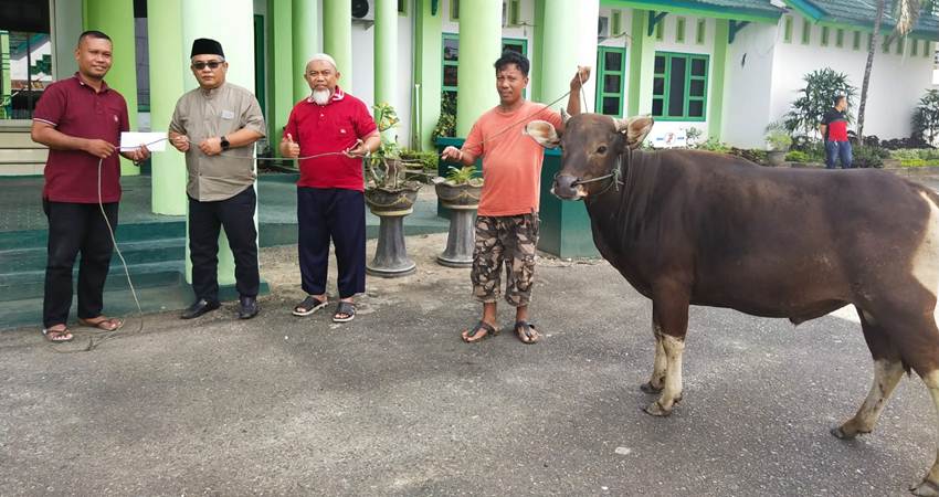 Iduladha 1444 Hijriah, BRI Cabang Gorontalo Sembelih Delapan Sapi Kurban   