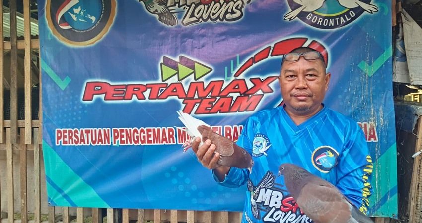 Merpati Balap Gorontalo Semakin Maju, Ferry : Banyak yang Sudah Harumkan Nama Daerah di Kancah Nasional
