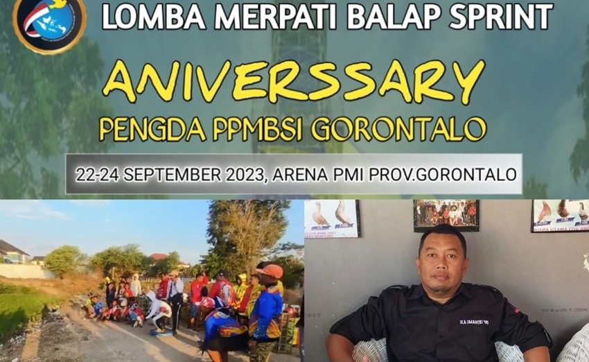 Ayo, Ramaikan Lomba Merpati Balap Anniversary PPMBSI Gorontalo Ke-8