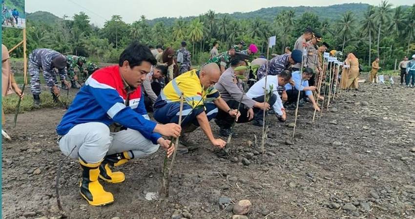 Cegah Abrasi dan Komitmen Penurunan Emisi, Pertamina Tanam Mangrove di Kawasan Bone Pesisir