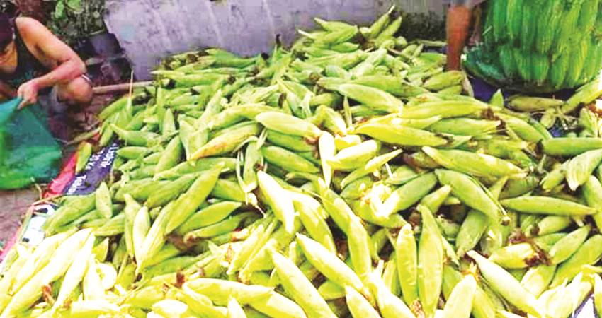 Jagung manis yang dijual pedagang.