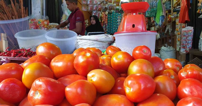 Tomat yang dijual pedagang di pasar tradisional.