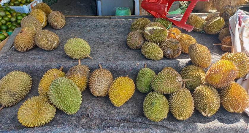 Pedagang durian yang ada di Kota Gorontalo.