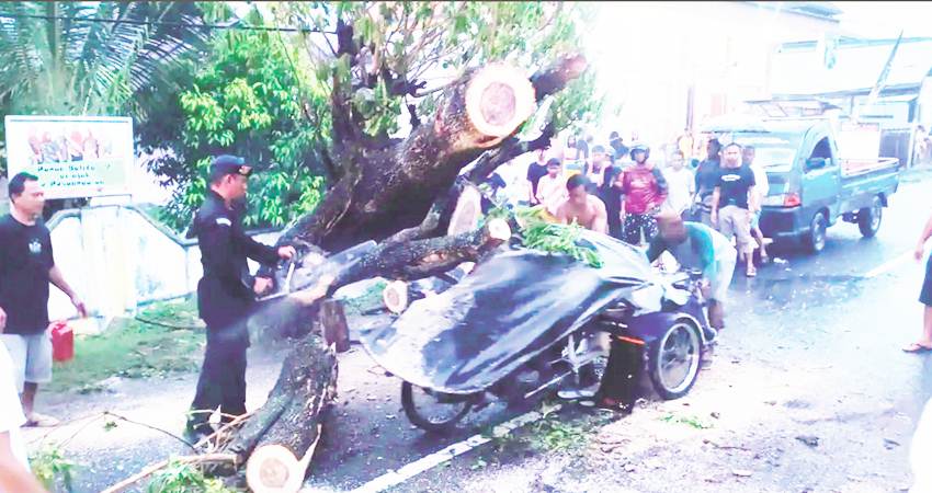 BAHAYAKAN ORANG : Bentor remuk tertimpa pohon di depan Kantor Desa Isimu Utara, Kabupaten Gorontalo, Kamis (7/3). Seorang penumpang bentor dilaporkan meninggal dunia.