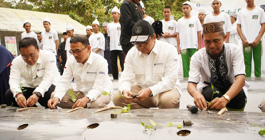 PESANTREN MANDIRI : Penanaman cabai rawit di lahan milik Ponpes Hubulo, Tapa, dalam rangka mendorong kemandirian pesantren. (foto : dok / bi)