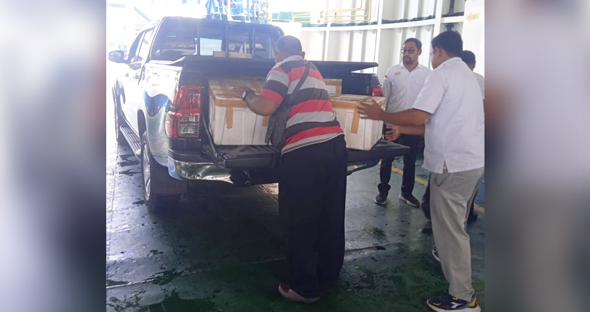 Petugas Karantina Hewan, Ikan, dan Tumbuhan mengamankan ratusan ekor tikus mati dalam box diangkut ke mobil.