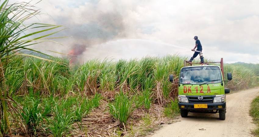 Tim Damkar PT PG Gorontalo tampak melakukan pemadaman api terhadap kebakaran tebu yang dilakukan oleh oknum tidak bertanggung jawab. (Foto: Istimewa)