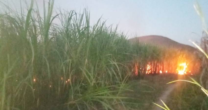 Tim Damkar PT PG Gorontalo tampak melakukan pemadaman api terhadap kebakaran tebu yang dilakukan oleh oknum tidak bertanggung jawab. (Foto: Istimewa)