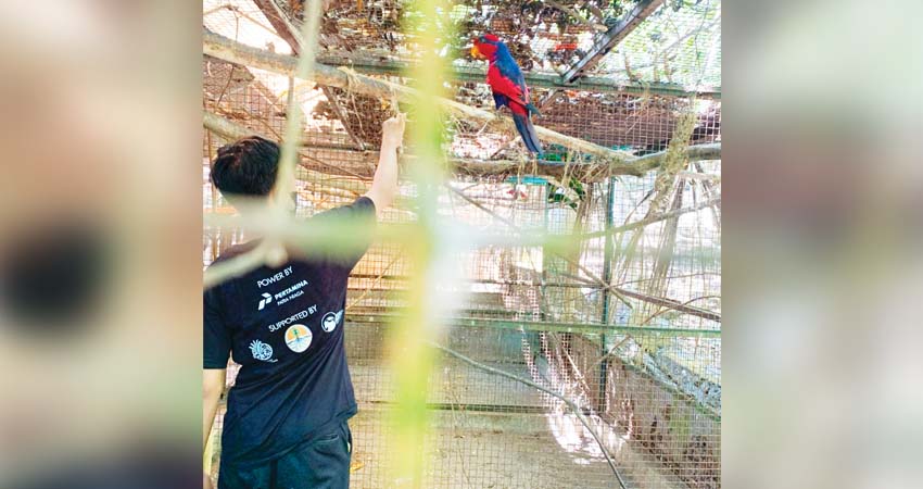 SELAMATKAN SAMPIRI - PT Pertamina Patra Niaga Regional Sulawesi berhasil meraih local hero inspiration Award 2024 dengan kisah inspiratif Selamatkan Sempiri (Nuri Talaud). (foto : dok / pertamina)