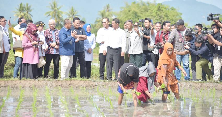 Menteri Pertanian RI Andi Amran Sulaiman (tengah) saat melihat dari dekat program Perluasan Areal Tanam (PAT) pompanisasi dan penanaman padi di Desa Tunggulo, Bone Bolango, Kamis (30/5). (Foto: Andika – Diskominfotik)