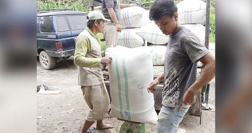 Pedagang dedak saat menimbang karung yang berisi dedak atau konga.