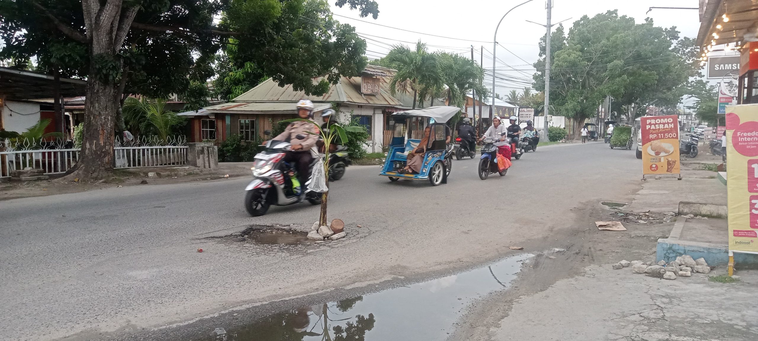 Kecewa Jalan Berlubang, Warga Tanam Pisang di Jalan Raya Eyato