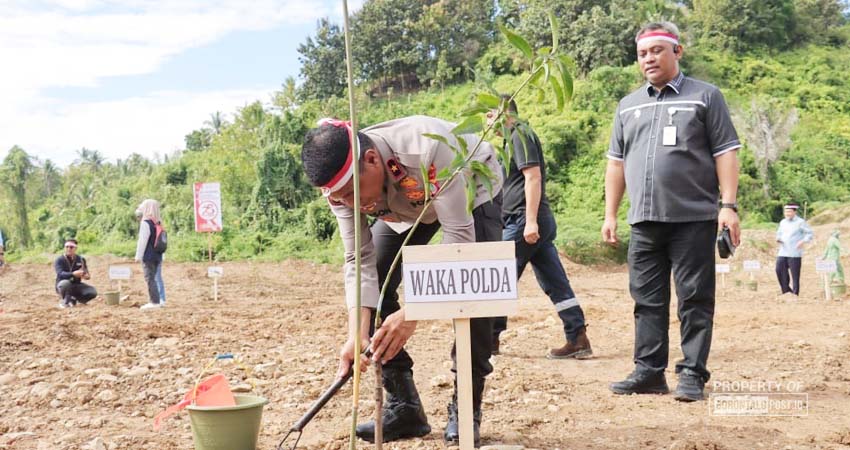Waka Polda Gorontalo Brigjen Pol. Simson Zet Ringu, S.I.K, M.Si, bersama PJU Polda, Bhayangkari dan seluruh komponen masyarakat, melakukan penanaman bibit pohon di Desa Balayo, Kecamatan Patilanggio, Kabupaten Pohuwato, sebagai salah satu upaya untuk mencegah terjadinya bencana alam. (F. Zulkifli/ Gorontalo Post)