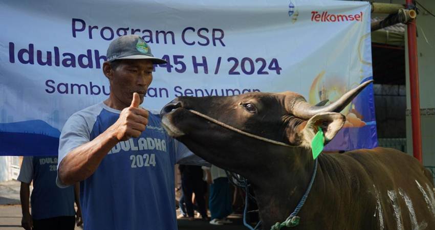 Sambungkan Senyuman, Telkomsel Pamasuka Salurkan 77 Hewan Kurban