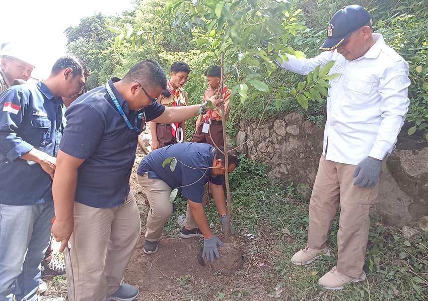 Semarak HUT RI, Pelindo Tanam 79 Ribu Pohon se Indonesia 