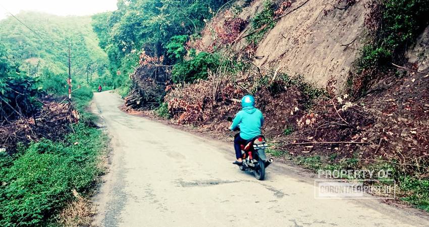 Material longsor dan pohon tumbang di masih berada di badan jalan menuju Desa Bunuo, yang diharapkan bisa mendapatkan perhatian dari pemerintah. (F. Jalal/ Gorontalo Post)