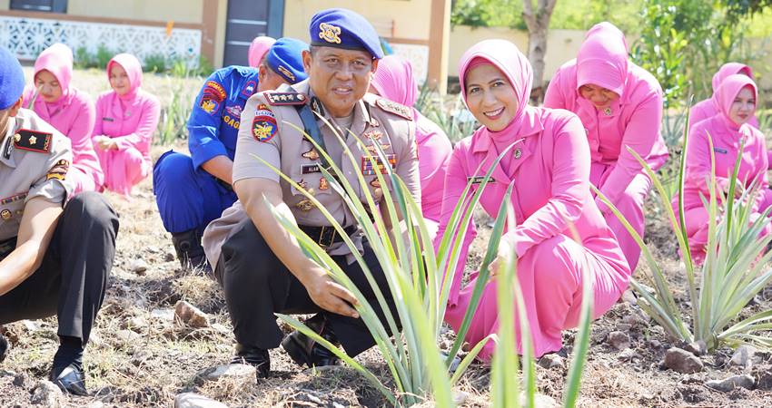 Dir Polairud Polda Gorontalo, Kombes Pol. Saiful Alam,S.H,S.I.K,M.H beserta Bhayangkari dan seluruh personel Dit Polairud, melakukan penanaman bibit nenas dan pohon kelapa, yang berlokasi di Mako Dit Polairud Polda Gorontalo.