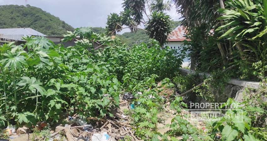 Kondisi saluran air di Talumolo saat ini dipenuhi semak belukar serta sedimintasi yang tinggi menjadi pemicu utama banjir di kawasan tersebut saat musim penghujan. (Foto: Roy/Gorontalo Post).