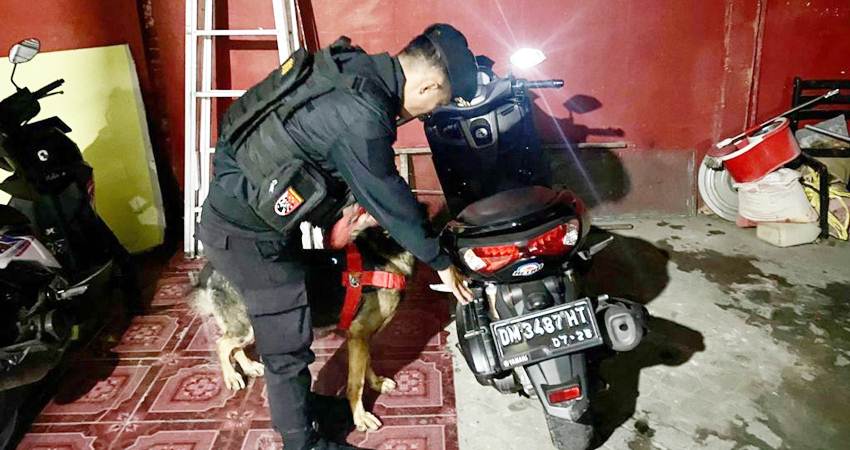 Polda Gorontalo melibatkan Unit K9 atau menggunakan anjing pelacak untuk mengindentifikasi barang-barang terlarang.