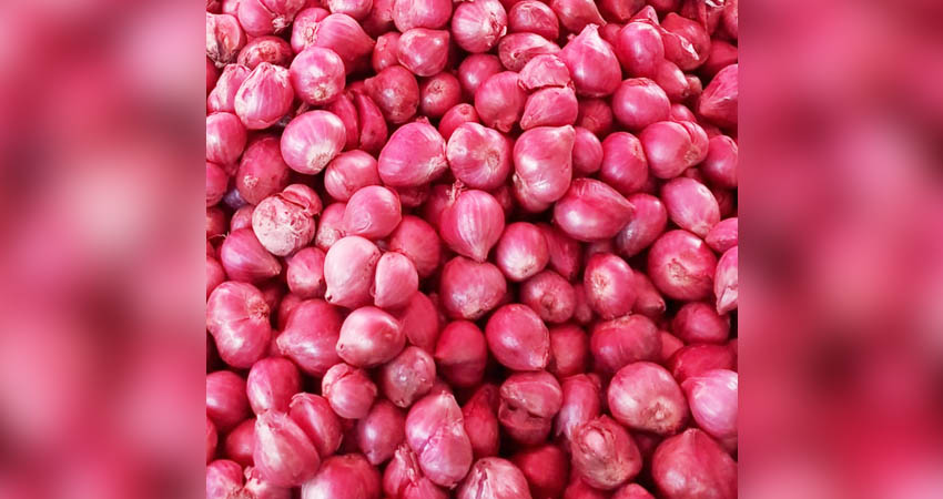 Bawang merah menjadi komoditas utama penyumbang angka inflasi di Provinsi Gorontalo sebesar 0,31 persen pada November 2024. (Foto ; Lidya/Gorontalo Post)