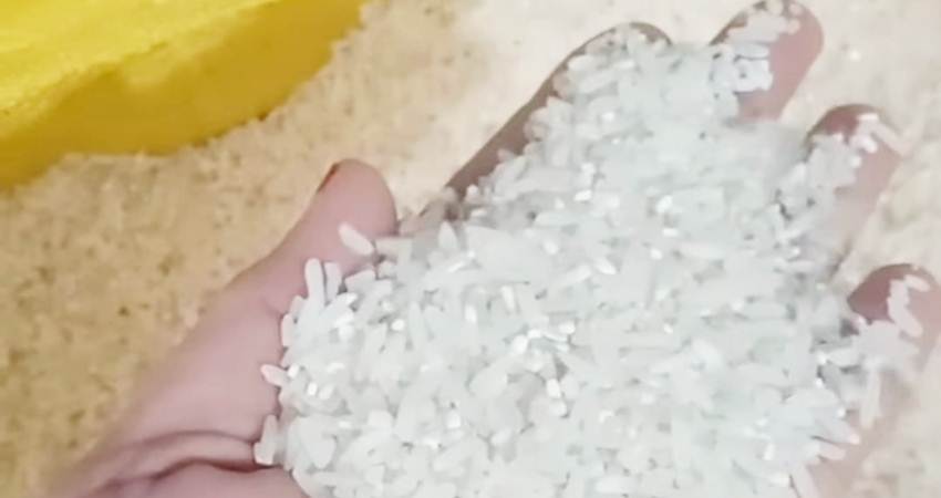 Contoh beras berasal dari Makassar dalam karung kuning. (Foto : istimewa)