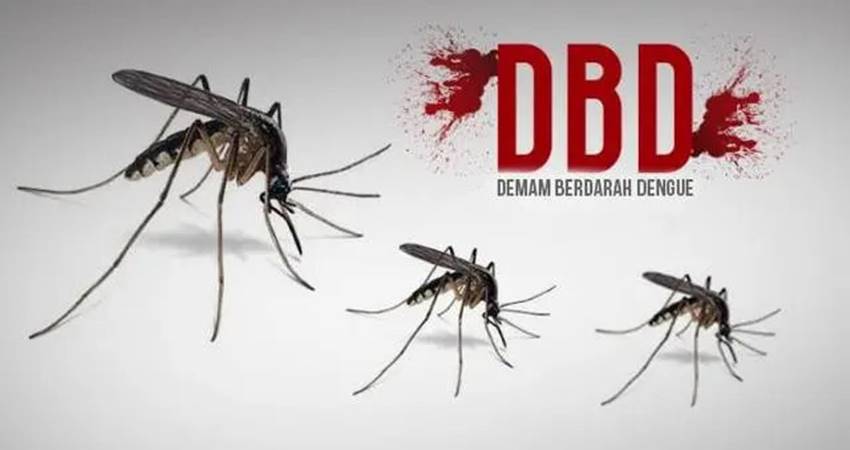 Ilustrasi DBD (Istimewa)