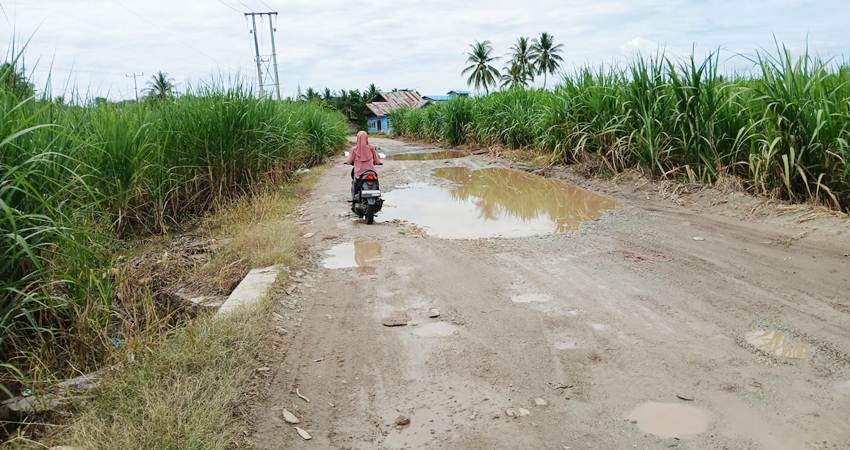 Ruas jalan di Desa Harapan, yang menghubungkan Kecamatan Paguyaman dan Wonosari, Kabupaten Boalemo, saat ini kondisinya rusak parah dan memprihatinkan.